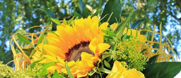 Strauss Sonnenblume