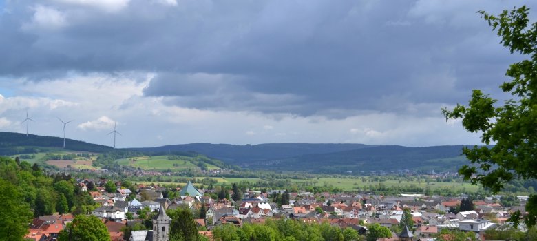 Blick von der Herrenweide ins Kinzigtal