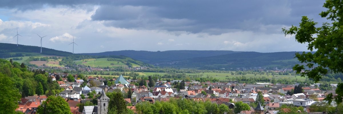 Blick von der Herrenweide ins Kinzigtal