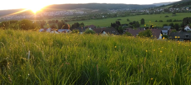 Ausblick vom Aufenauer Naturkino
