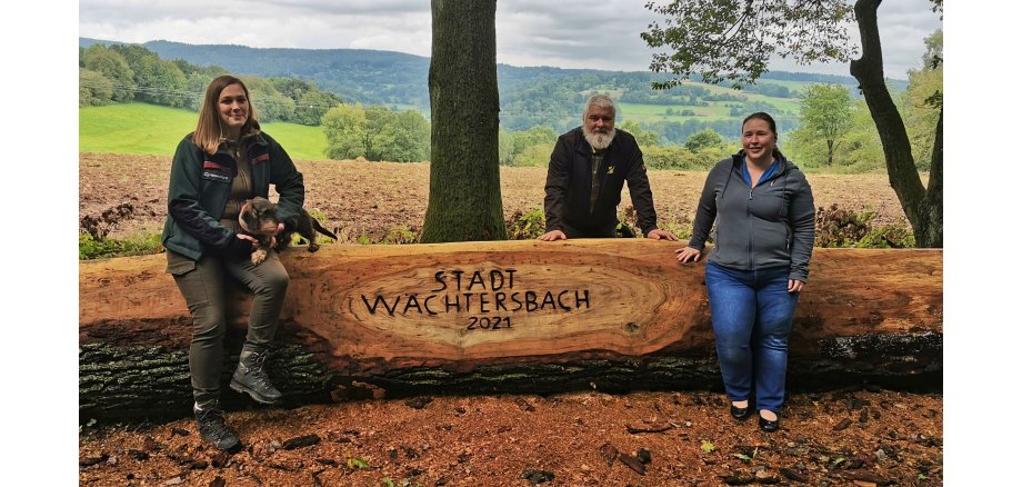 Eiche im Stadtwald - Ein besonderer Platz für Wandernde