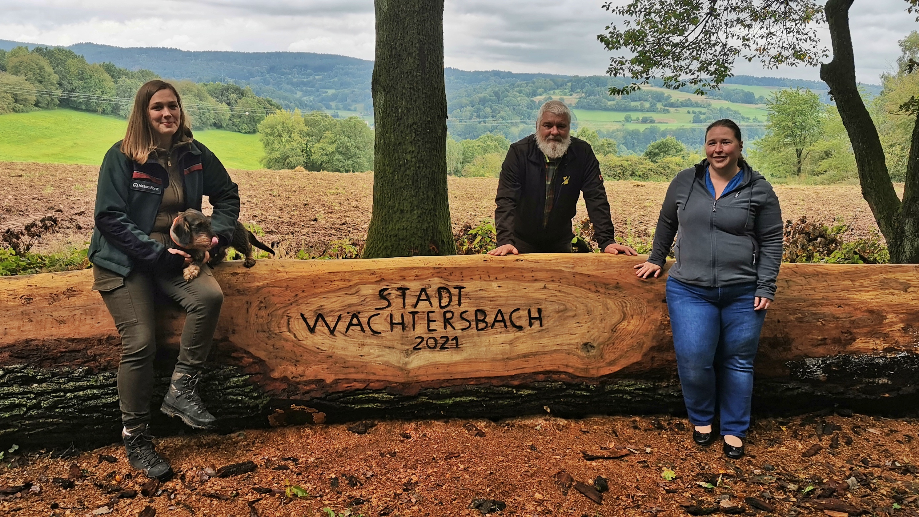 Eiche im Stadtwald - Ein besonderer Platz für Wandernde