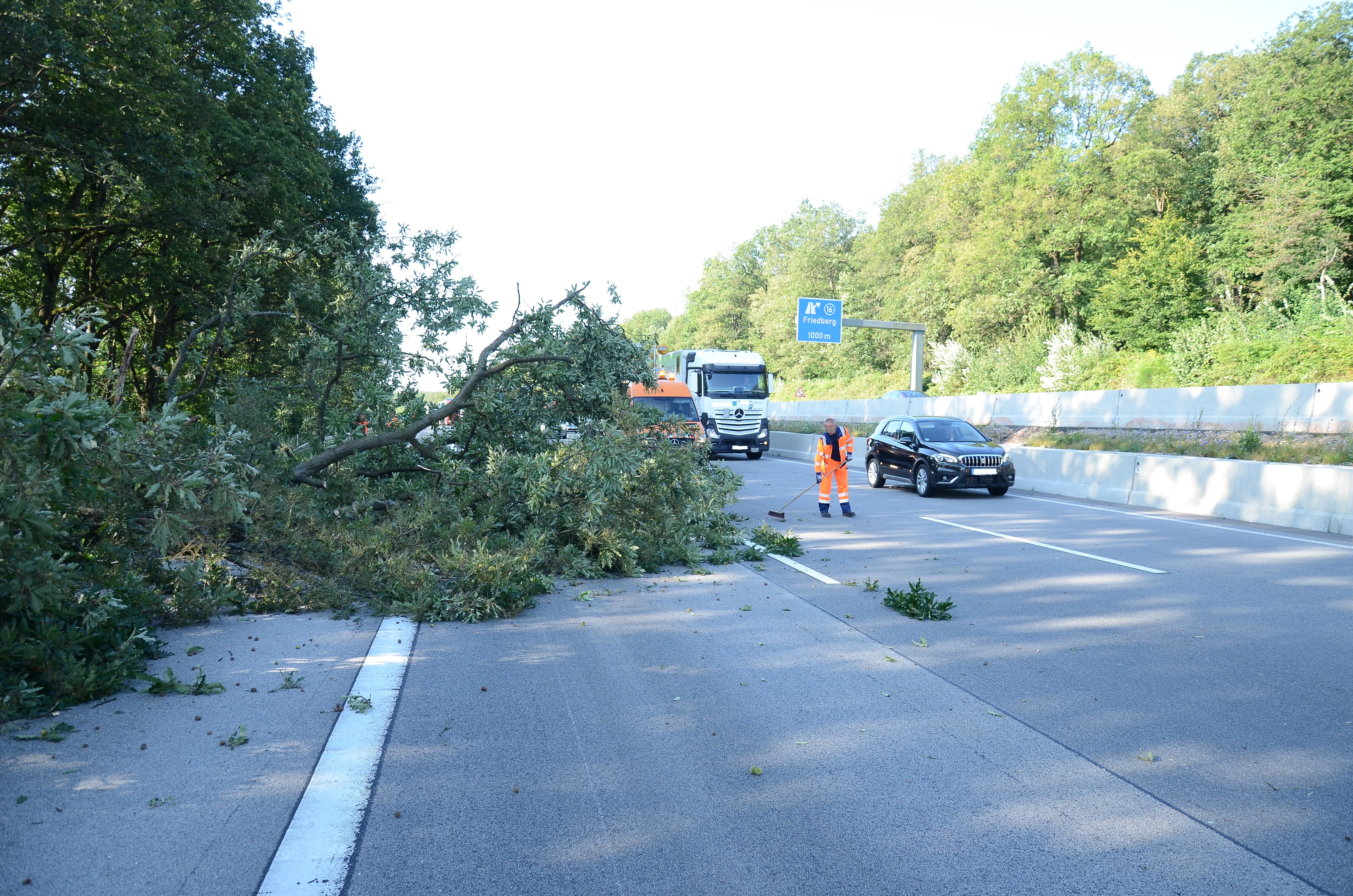 Hessischer Waldbesitzerverband informiert