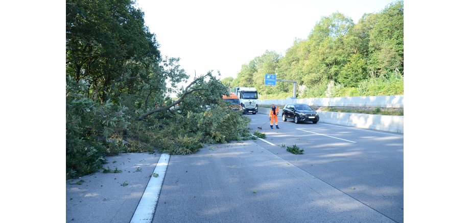 Hessischer Waldbesitzerverband informiert