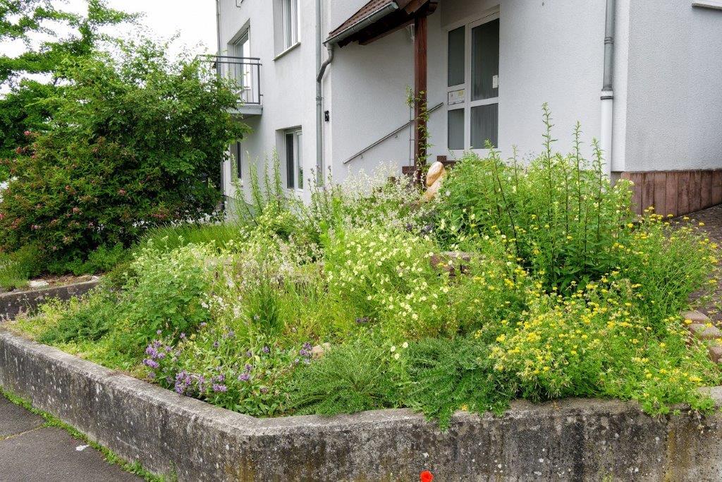 Schönste Gärten Wächtersbachs