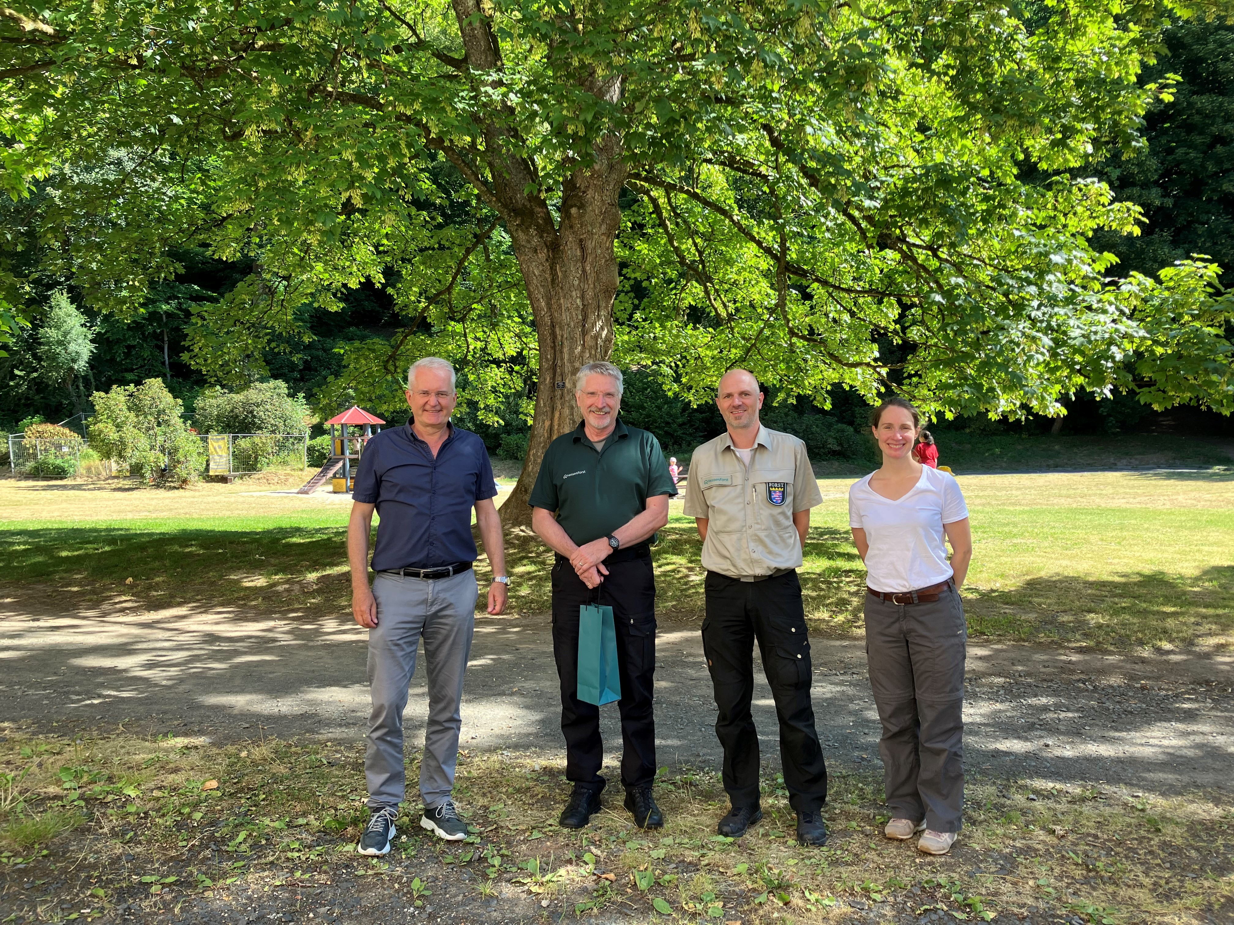 Stadtwald in neuen Händen