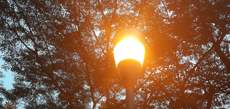 Eine Straßenlaterne vor einem Baum