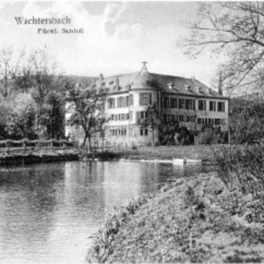 Ansicht Schlosspark mit Blick aufs Schloss 1920